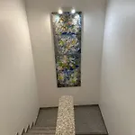 Duplex 8 דירה